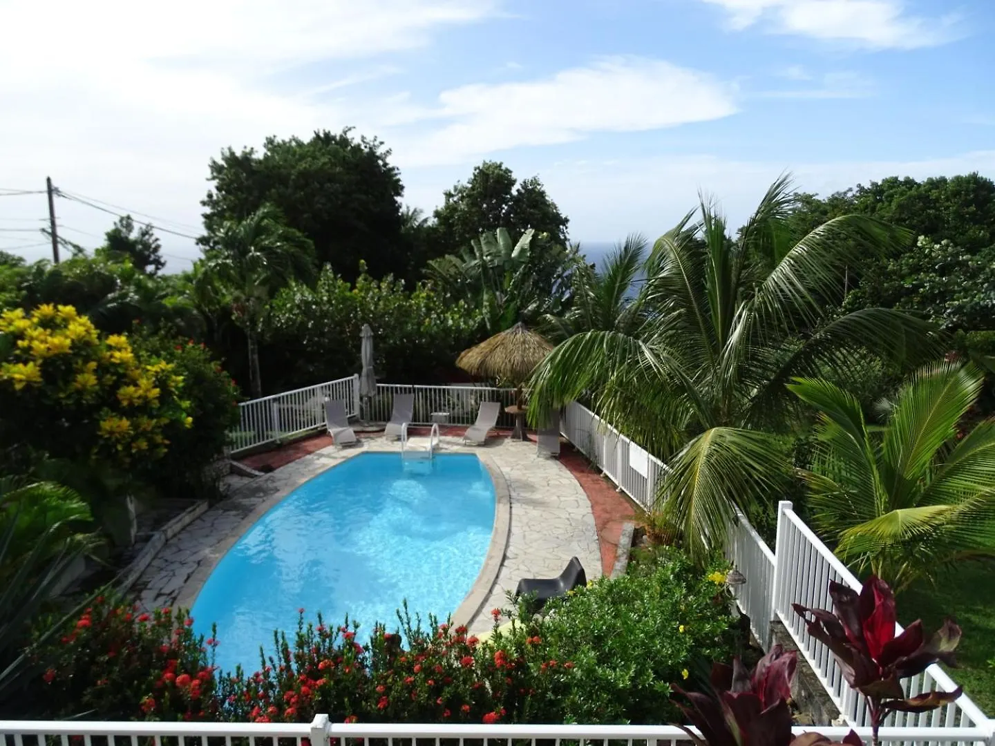 Gite Studio Marlin Bouillante Guadeloupe