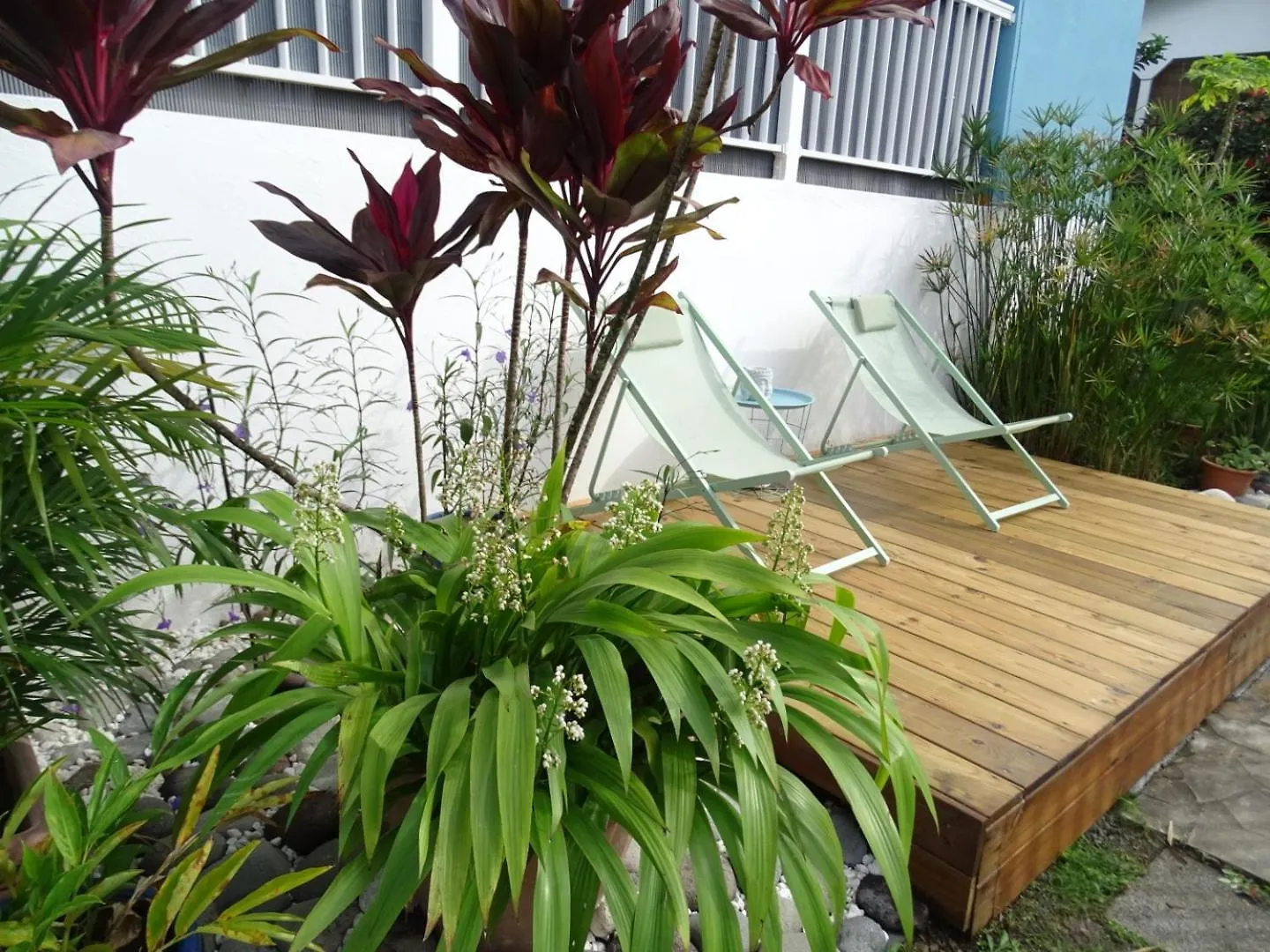 Apartment Gite Studio Marlin Bouillante